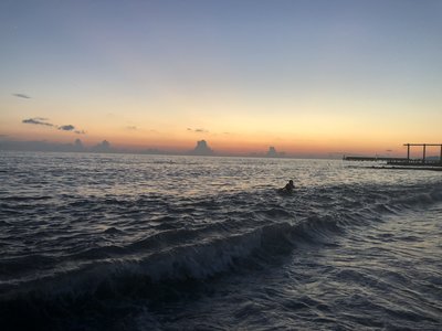 35E367AA-F3C7-48E1-8D6F-E1A263B54443.jpeg