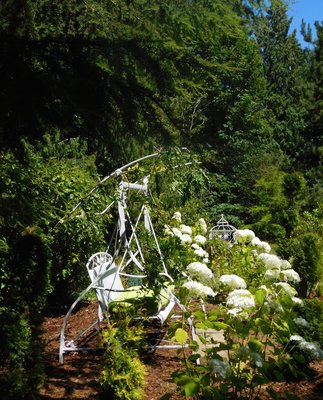 DSCN1240.jpg