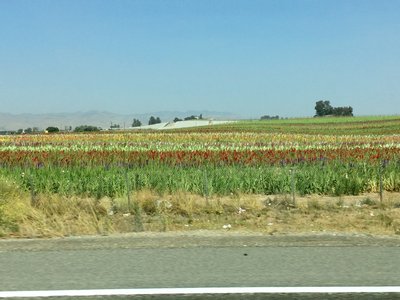 66B17439-E1D9-4F43-B586-FF036FA80710.jpeg