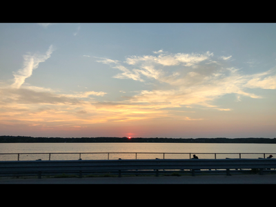 IMG_7386.PNG