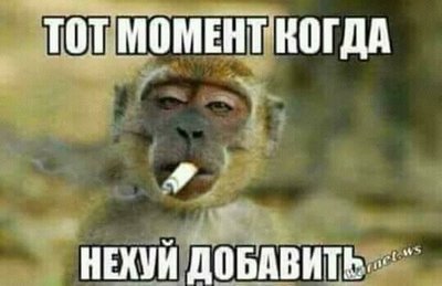 24BD7F28-421A-4C8F-901F-4B7C1F6C24FC.jpeg