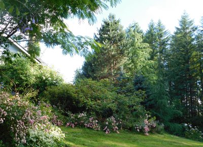 DSCN0898.jpg