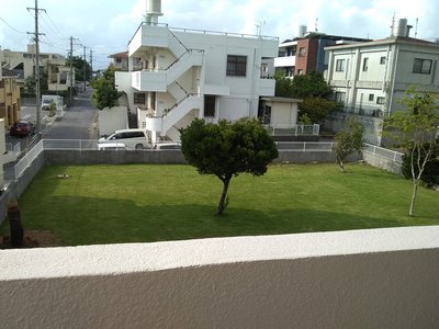 IMG_20180729_081039990.jpg