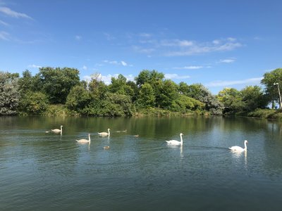 IMG_1492.jpeg