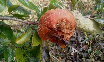 20181031_101810.jpg