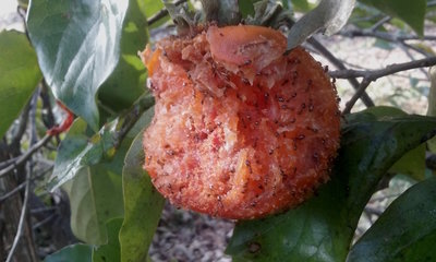 20181031_101533.jpg