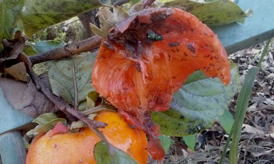 20181031_101511.jpg