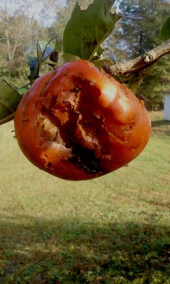 20181031_101400.jpg