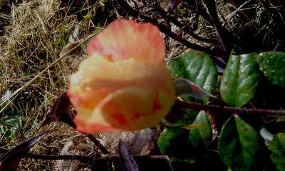 20181031_102228.jpg