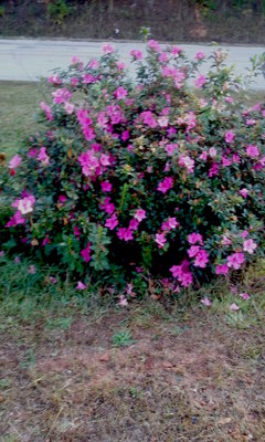 20181031_102436.jpg