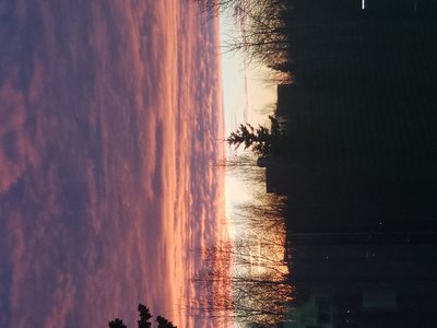 20181108_164116.jpg