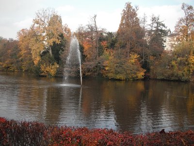 DSCF4749.JPG