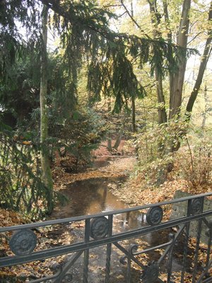 DSCF4726.JPG