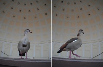 DSCF4758.JPG