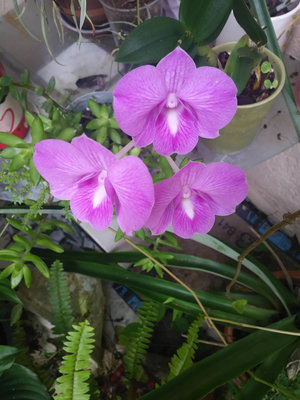 20180917_123605.jpg