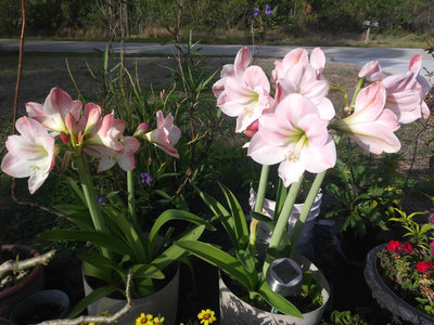20180307_162836.jpg