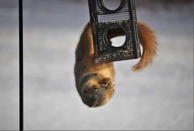 20181224_234043.jpg