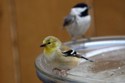 IMG_2853.JPG