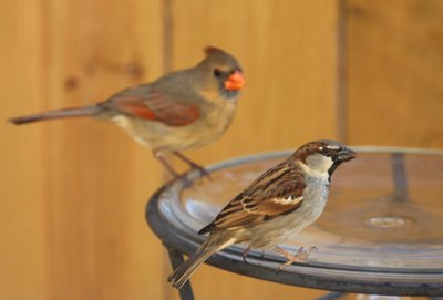 IMG_3038.JPG