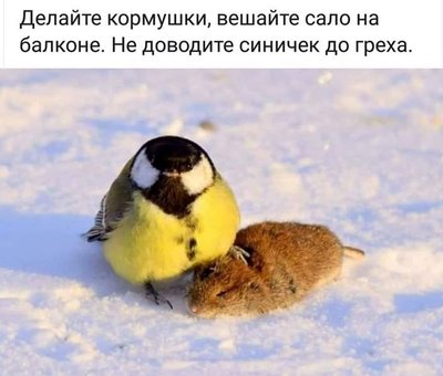 XHqNddY_fwI.jpg