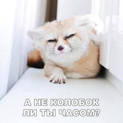 12345_SbYBQ.jpg