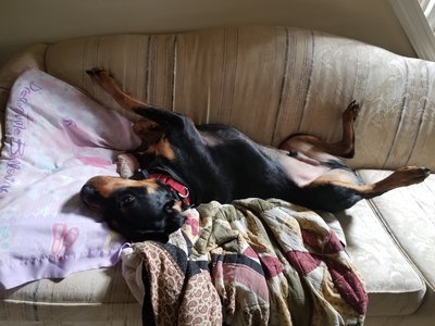 20181020_124523.jpg