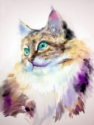 image-17.jpeg