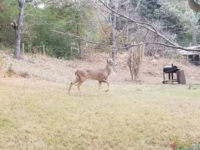 20181129_112007.jpg