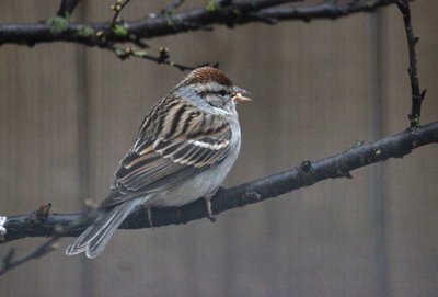 IMG_6006.JPG