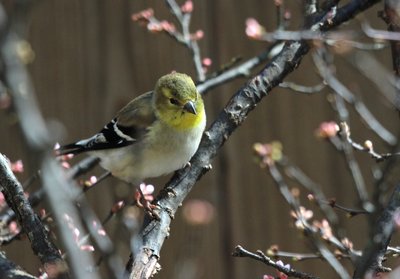 IMG_6699.JPG