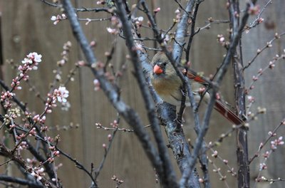 IMG_6730.JPG