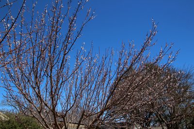 IMG_7980.JPG