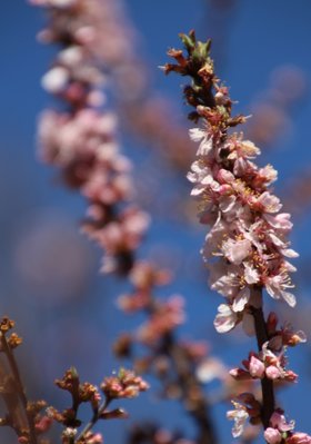 IMG_7807.JPG