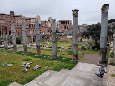20190310_072026.jpg