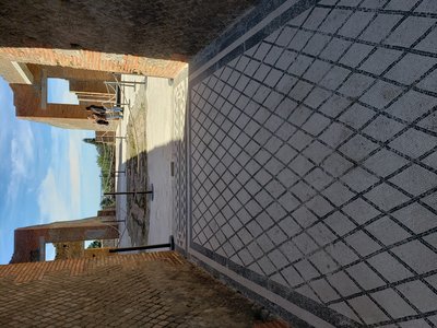 20190313_114209.jpg