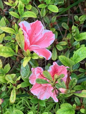 0-02-01-40b9437c283a19232ff63e7f22ae6cd1c3d530d13570de87d7b716c882098bb5_8f939c73 (2).jpg