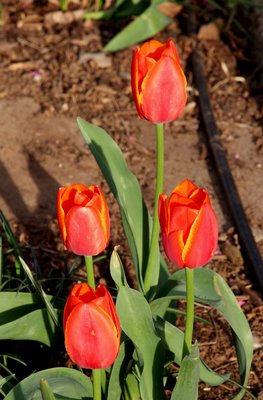 IMG_8624.JPG