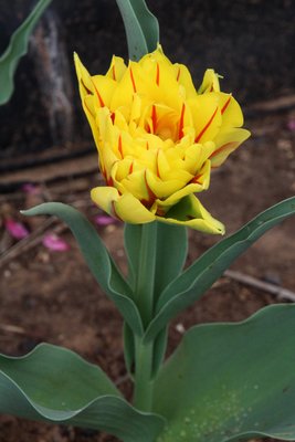 IMG_8628.JPG