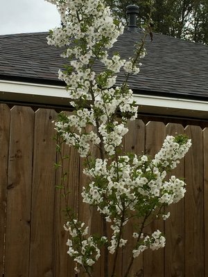 IMG_3094.JPG