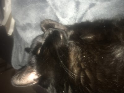 C2FEF62F-202A-44E0-959B-DA817E495641.jpeg