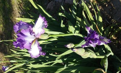 20190402_182316.jpg