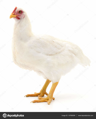 1ABEB151-2FFF-4DD5-B37B-A14E876DEDEA.jpeg