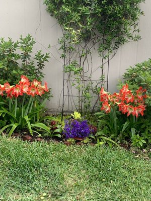 IMG_5929 (2).jpg