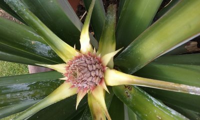 20190405_152801.jpg