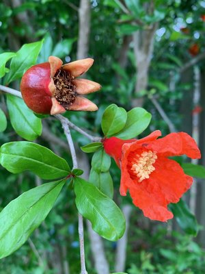 0-02-01-8bac63fb6cfbddb041730f95343860002a4c7d2359285e4ccc9e9ed48cc2835f_2e6b868e (2).jpg