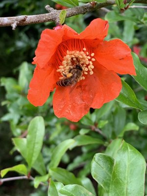 0-02-01-09b5f78240c0ddce42b08f865f09bfc3ff5ad04f2a140dd90579f45ba95d85bd_4a1a99b4 (2).jpg