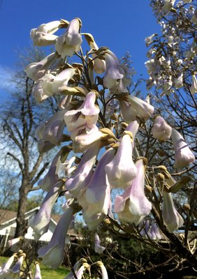 IMG_3187.JPG