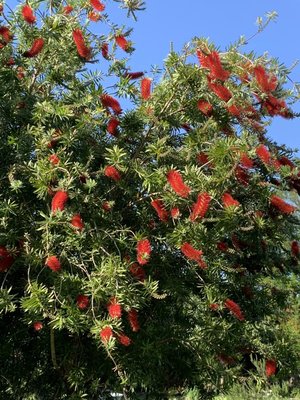 0-02-01-7435543756158aeef285447293024f85da2a6af6f65c027c99e1d824b4bc0b08_77734acb (2).jpg