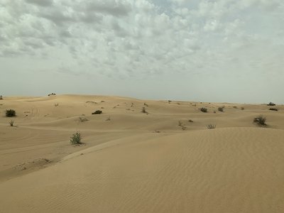 IMG_8986.JPG