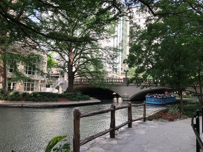 IMG_4119.jpeg